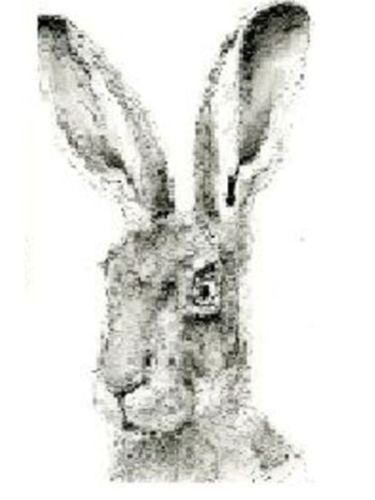 Illustration de la tête d'un lapin